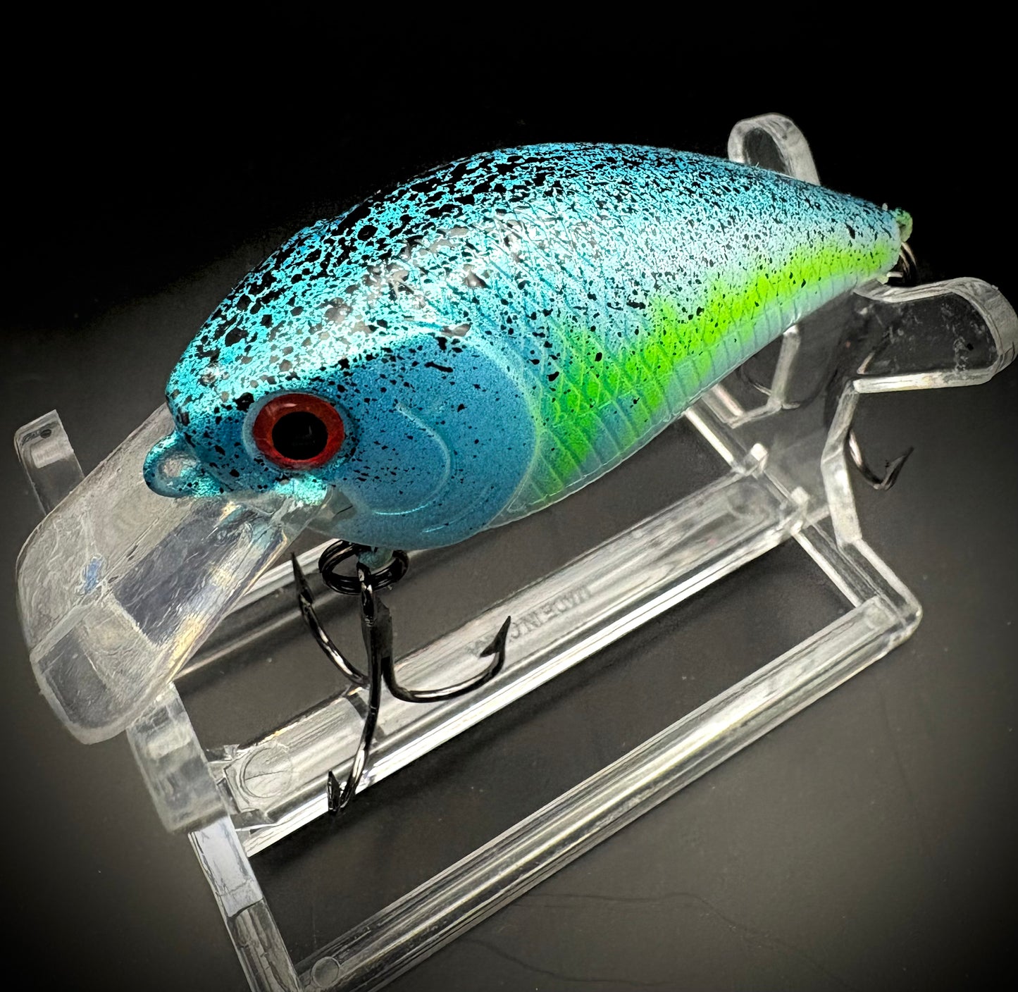 Lil Gag Shad 1.5